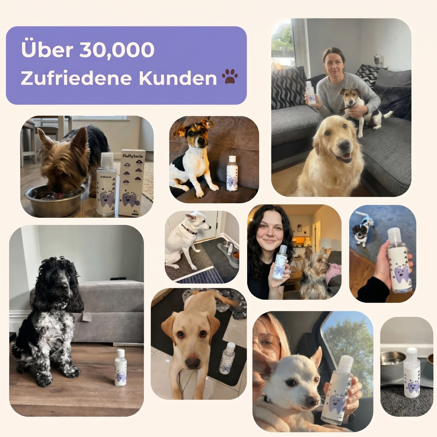 HG Dental+ Mundwasser für Hunde