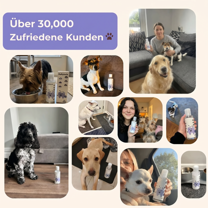 HG Dental+ Mundwasser für Hunde